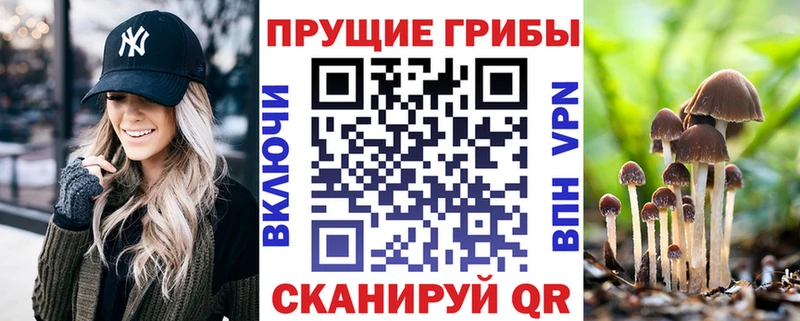 Псилоцибиновые грибы мухоморы гидра сайт Болхов закладка